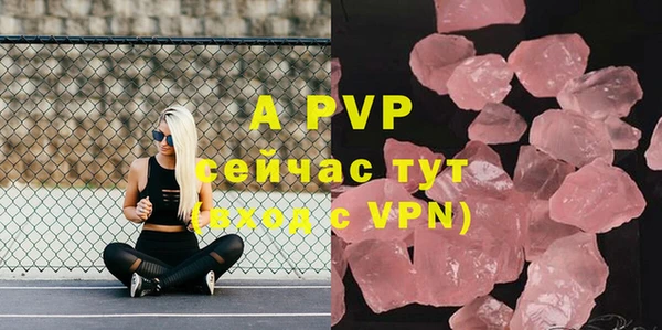 PSILOCYBIN Абаза
