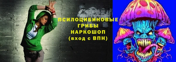 PSILOCYBIN Абаза